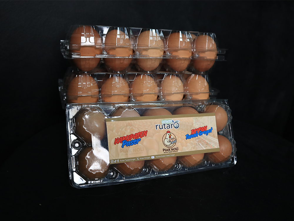 Telur Ayam PIAK NOLI